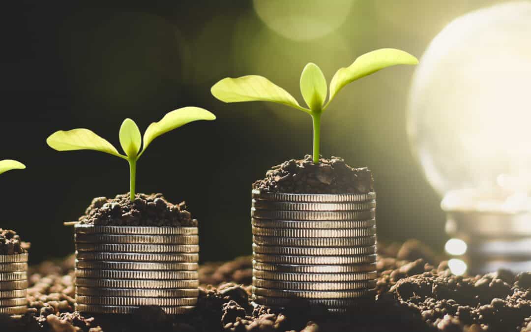 Participate to the Alpine Policy Forum on bioeconomy and SMEs digitalisation