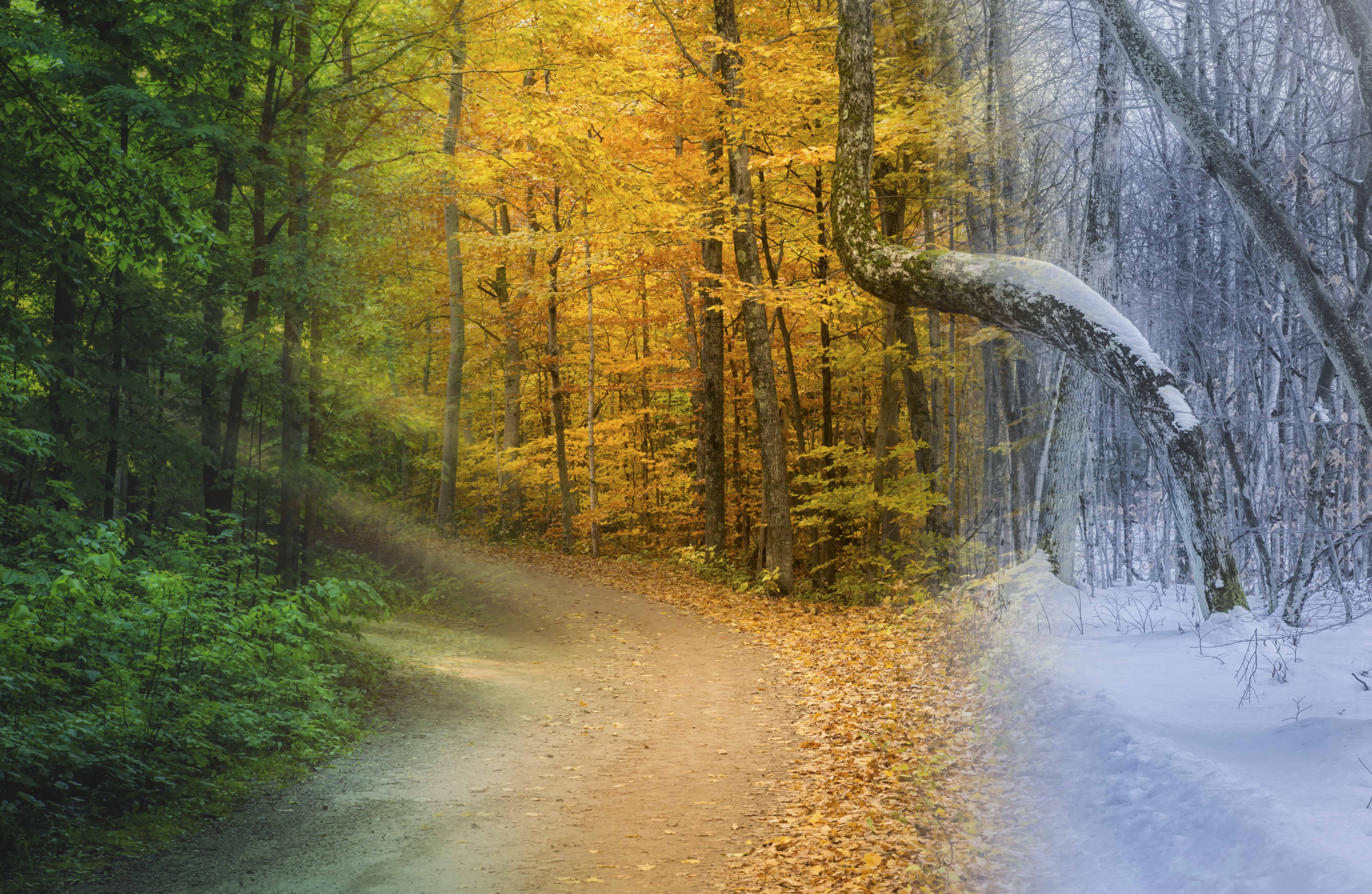 Change of Seasons Change of Seasons