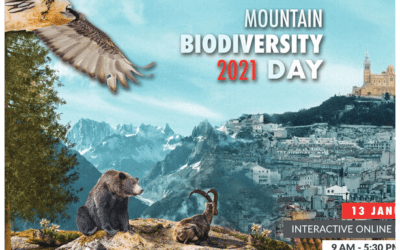 4 Alpine Space projects showcased on Mountain Biodiversity Day