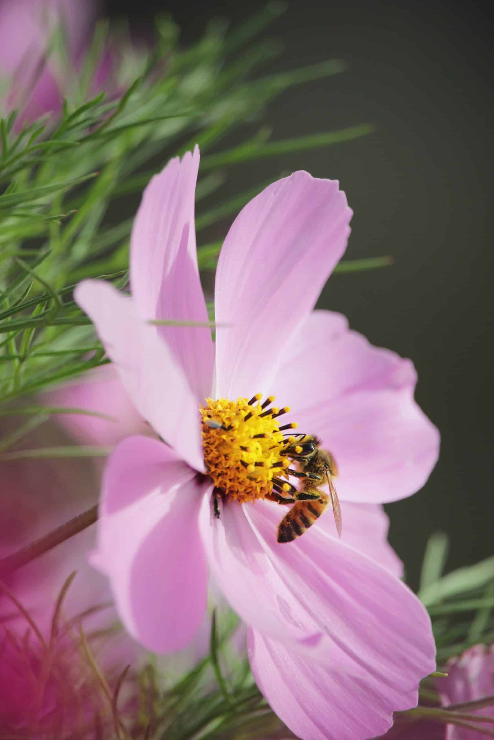damien-dufour-photographie-yJj8GW0HHWc-unsplash damien-dufour-photographie-yJj8GW0HHWc-unsplash
