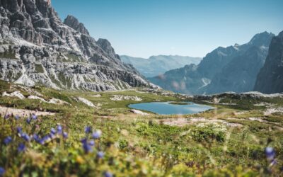 Our new projects focus on a climate resilient and carbon neutral Alpine region!