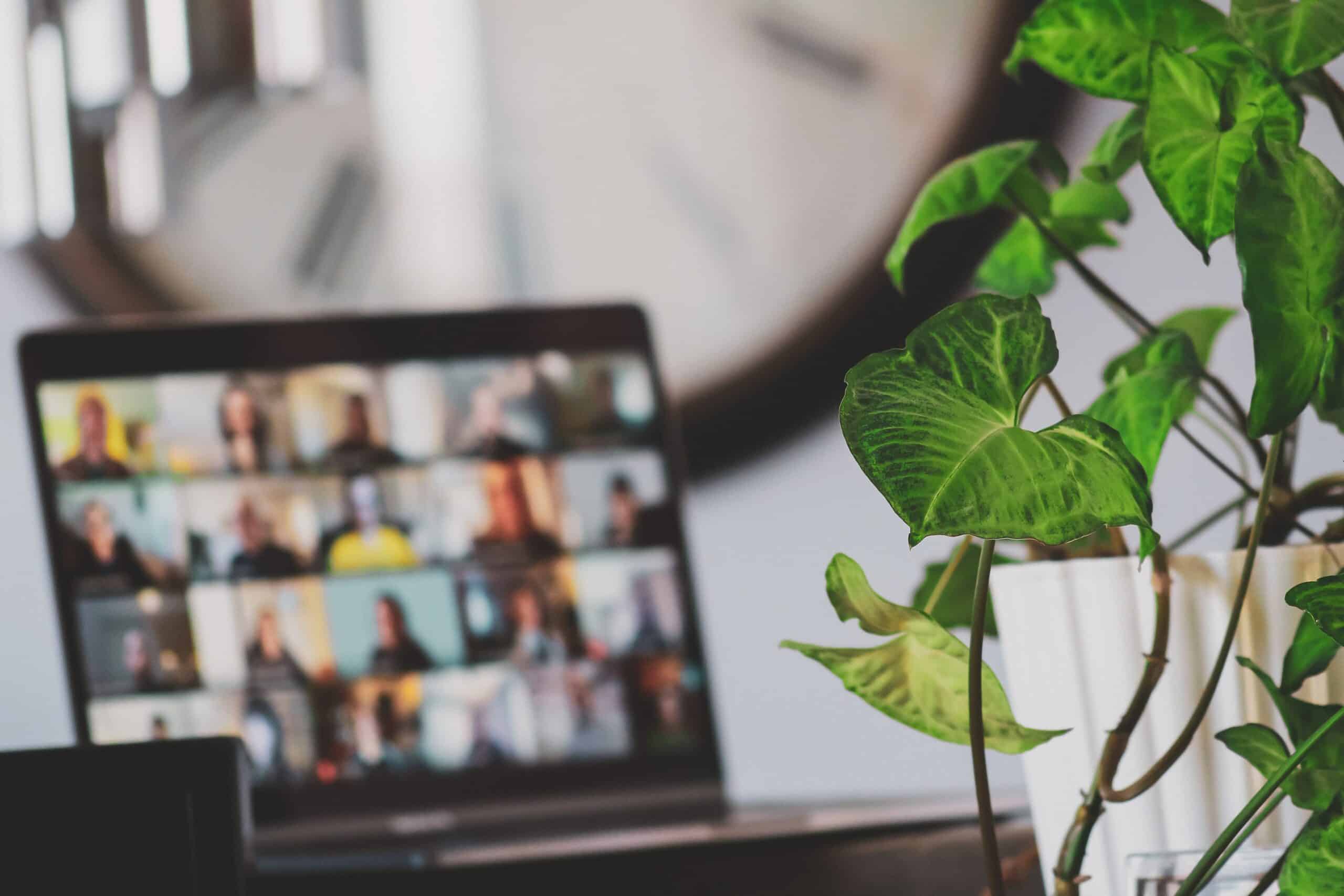 Online_info_desks_Sigmund_Unsplash