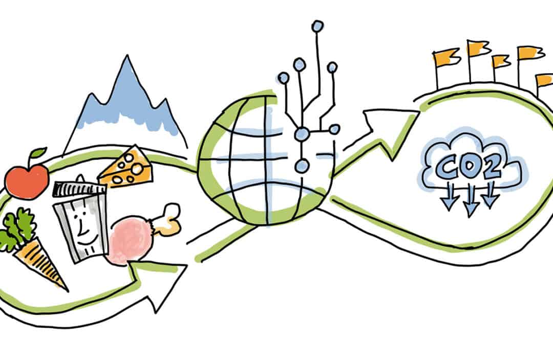 Discover Our New Educational Materials Online!