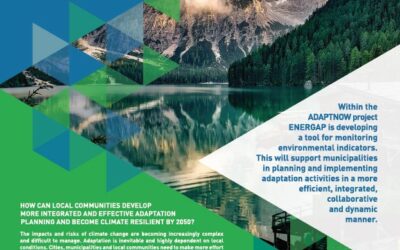 ADAPTNOW project on the WSED 2023 conference in Wels in Austria