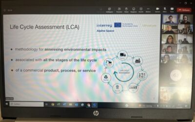 Virtual workshop for Developing a Common LCA Methodology as regards to food products
