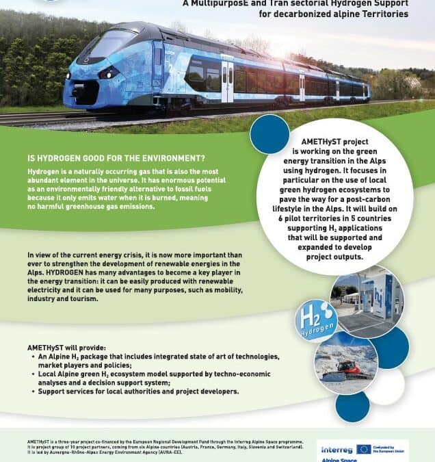 AMETHyST project on the WSED 2023 conference in Wels in Austria