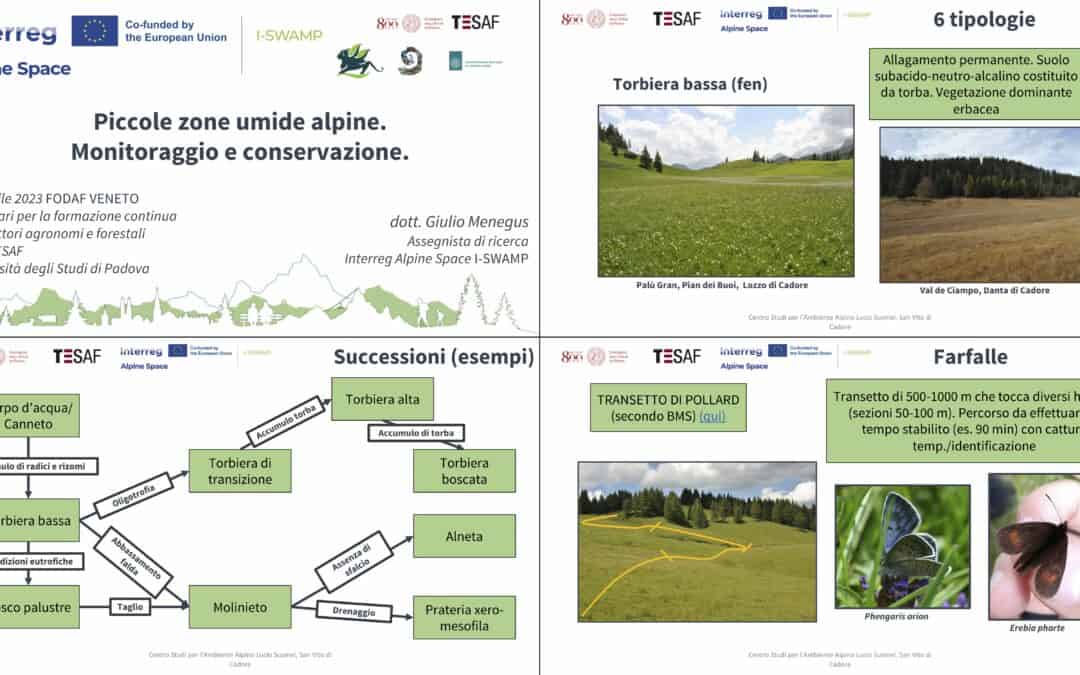 Over 60 registered agronomists and foresters of Veneto attended the I-SWAMP webinar on small Alpine wetlands!