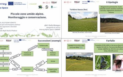 Over 60 registered agronomists and foresters of Veneto attended the I-SWAMP webinar on small Alpine wetlands!