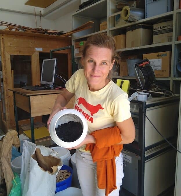 Nutshells as potential raw material for biochar