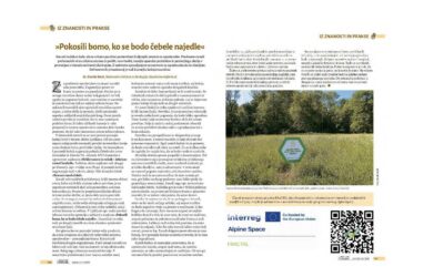 Engaging people to turn urban areas in a more “pollinators friendly” way – News from Slovenia!
