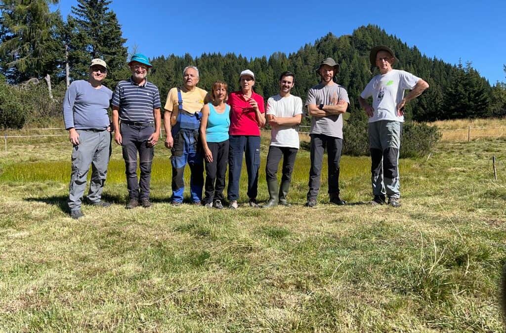 Restoration in action: I-SWAMP mowing and fencing wetland sites with volunteers