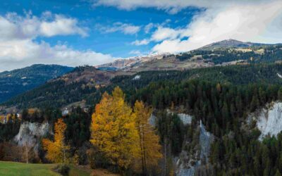 SHAPING SURSELVA’S FUTURE: A CLOSER LOOK AT REGIONAL TOURISM STRATEGIES