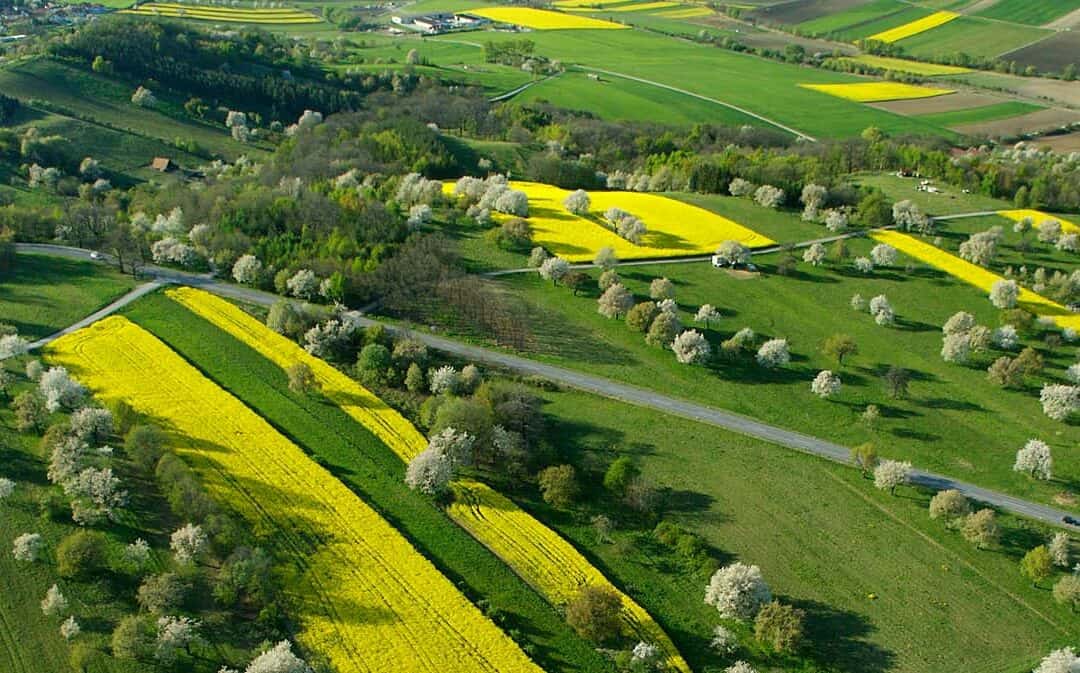 Save the date: Meet&Match event by Interreg Italia-Österreich