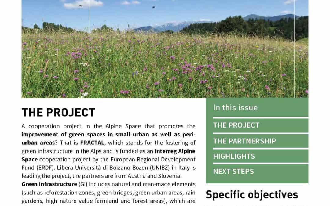 1° FRACTAL Newsletter