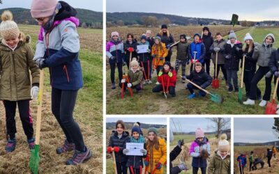 Formal/non formal education for GI in the Alps (Deliv. 1.2.1)