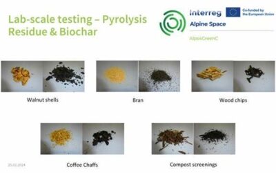 Results of the Testing and pilot production of biochar