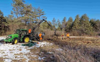 I-SWAMP’s restoration efforts are continuing through the winter season across Austria and Slovenia