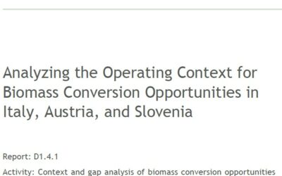 Analyzing the Operating Context for Biomass Conversion Opportunities in Italy, Austria, and Slovenia