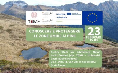 I-SWAMP seminar for Italian-speaking stakeholders was a success (and is now online)
