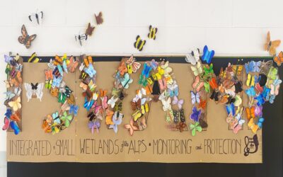 I-SWAMP guidelines for the monitoring and conservation of small Alpine wetlands are now available!