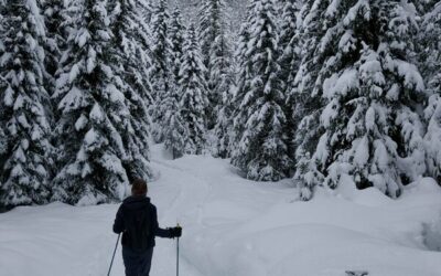 The role of UNIMONT within the TranStat Project: the stakeholders coordination to make them leaders of the change.