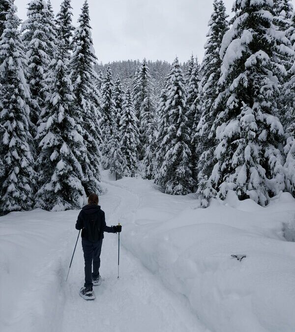 The role of UNIMONT within the TranStat Project: the stakeholders coordination to make them leaders of the change.