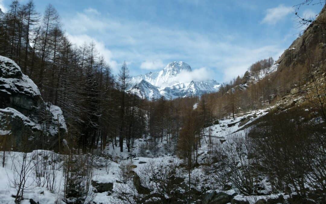 A Journey Through Our Pilot Areas: Ala di Stura and Balme