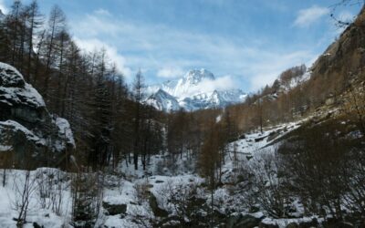 A Journey Through Our Pilot Areas: Ala di Stura and Balme