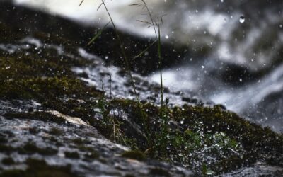 Stakeholder meeting in Ugine: Exploration of Storm Management