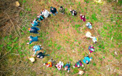 Forest EcoValue Plenary Meeting: discovering sustainable forestry in Graz