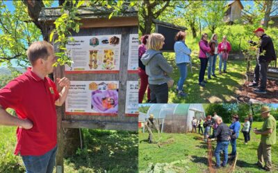 Highlights from Austria the FRACTAL  Re-Green Festival