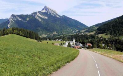 Better understand our Living Lab’s residents