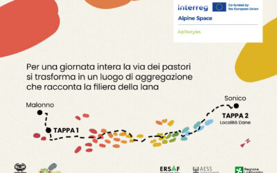 May 11th, Transumanza culturale / Register to our walk with the flock