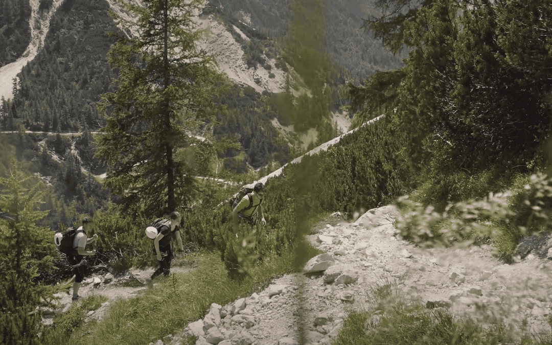 Discover the ARPAF III projects