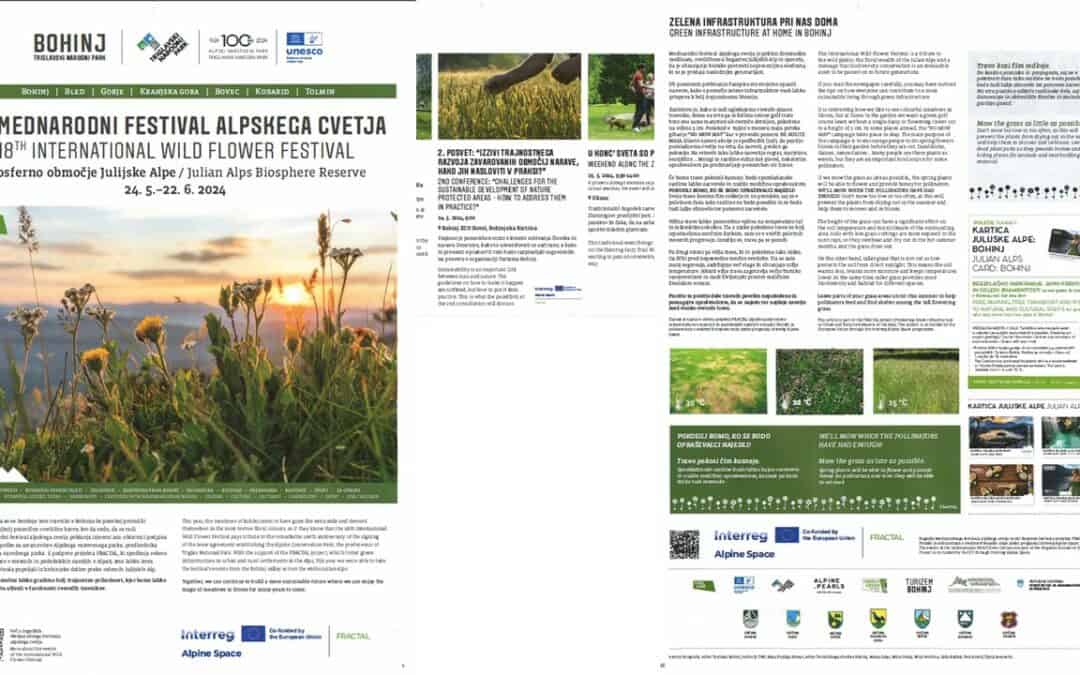 ReGreen Festival in Slovenia