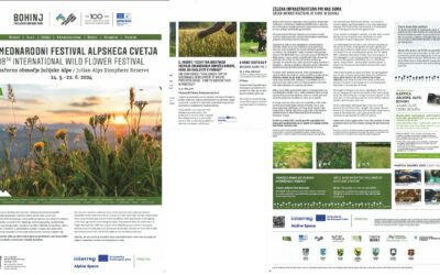 ReGreen Festival in Slovenia