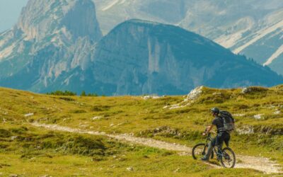 Land of the Mountains, Rich in Future! Adapting to Climate Change Challenges in the Alps