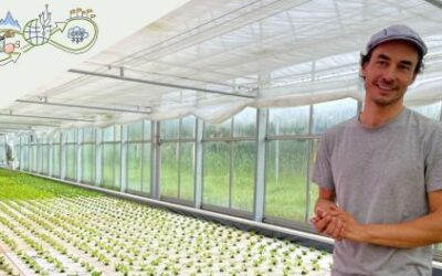 SOLOS Project: Revolutionizing Aquaponics