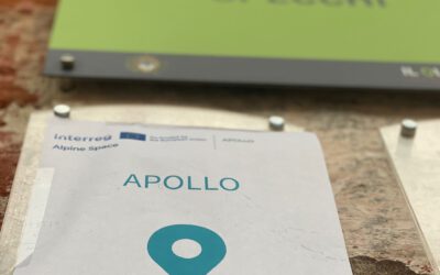 Digitalization in healthcare and telecare