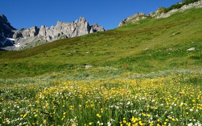 Waterwise project partner – Réserves Naturelles de Frances