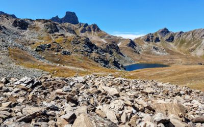 Shape the future of the Alps – share your voice.