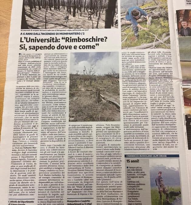 6th July 2023, Italy: Our colleague Raffaella Marzanha been interviewed by the weekly newspaper “La Valsusa” regarding restoration activities after the Mompantero wildfire and MOSAIC.