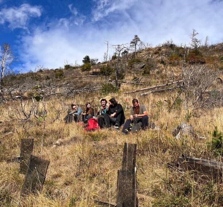 10th June 2024, Mompantero (Italy): Visit to the Mompantero pilot site by seven students of the “Restoration Ecology” class held by Raffaella Marzano (UniTO)
