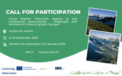 Call for Participation: International Mountain Conference 2025!