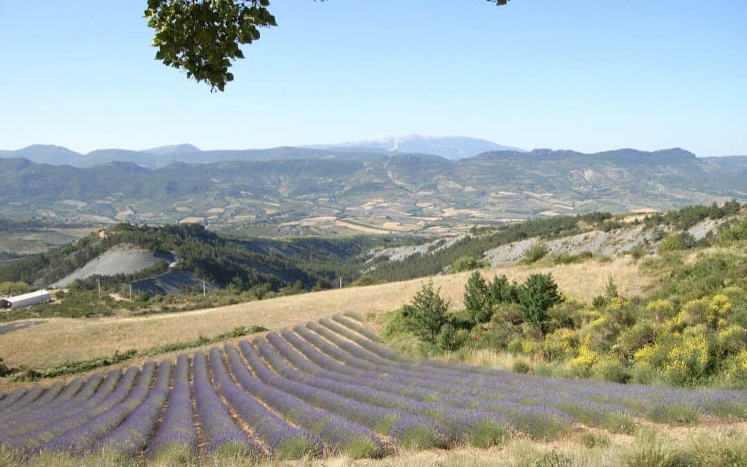 Join us in Study visits & events