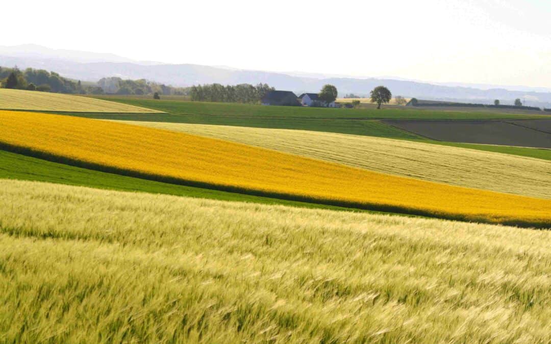 DIVERSE first results: a quantitative analysis across 7 regional Focus Labs in the Alpine space