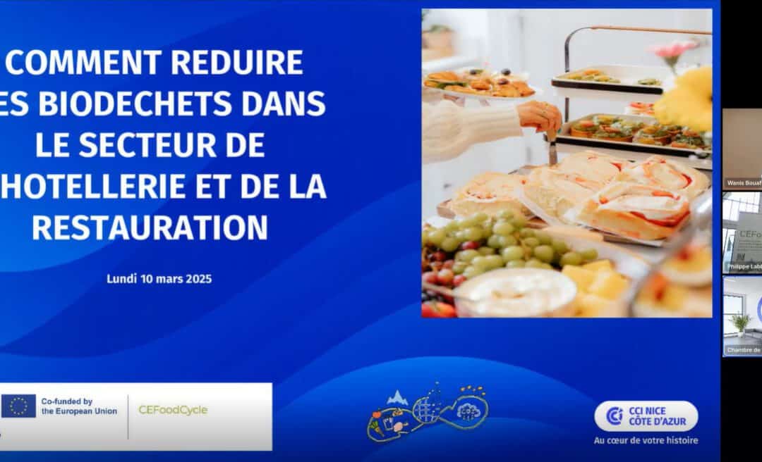 Webinar “How to Reduce Bio-Waste in the Hotel and Catering Sector?”