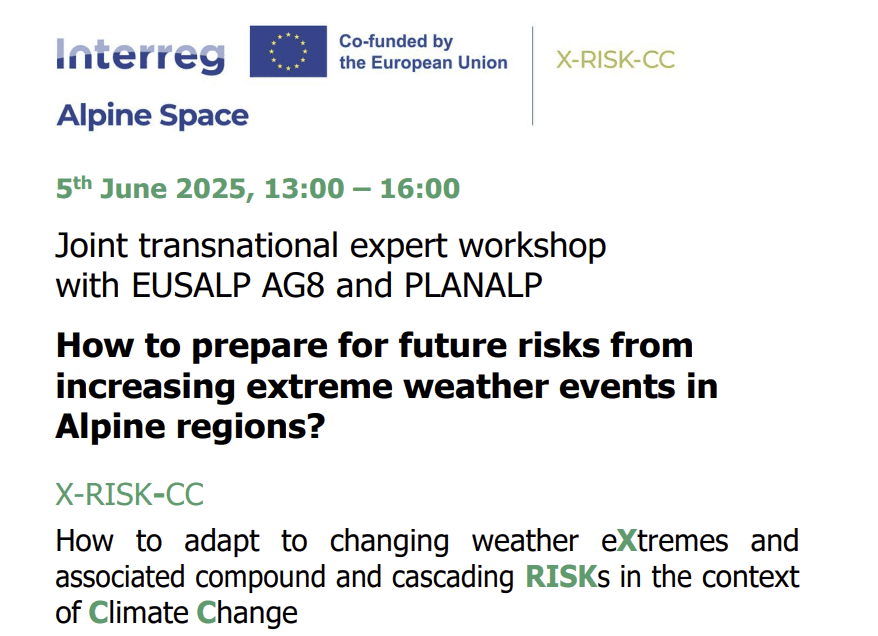 Expert workshop