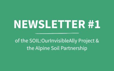 Our first newsletter is now available online!