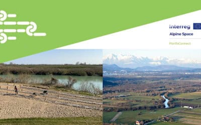 Nature conservation and restoration training: watch online!